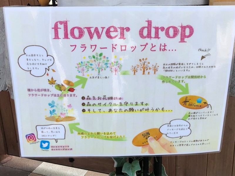 「三島スカイウォーク」へおでかけ！flower dropとは？